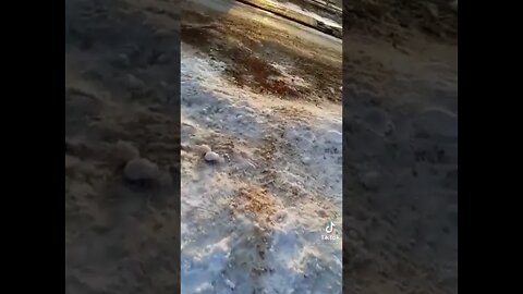 More Russians Tanks on the Way - in Bikin