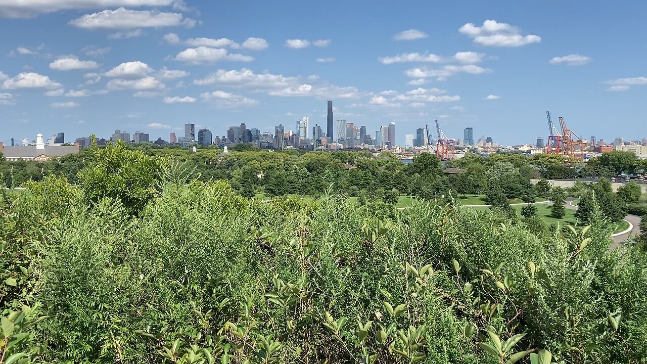 Overlook Hill (Governors Island, NYC)