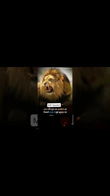 अपनी शौक के गुलाम मत बनो #MfrQuotes