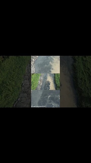 Did the Trolls arise from the Toxicity & Gentetic changes after the Mud Floods of Tartaria #tartaria