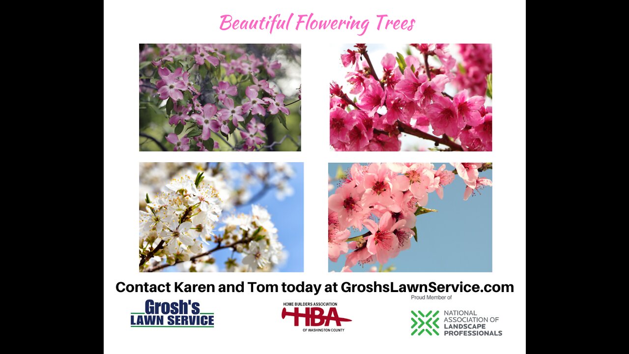 Flowering Trees Hagerstown Maryland Landscape Contractor