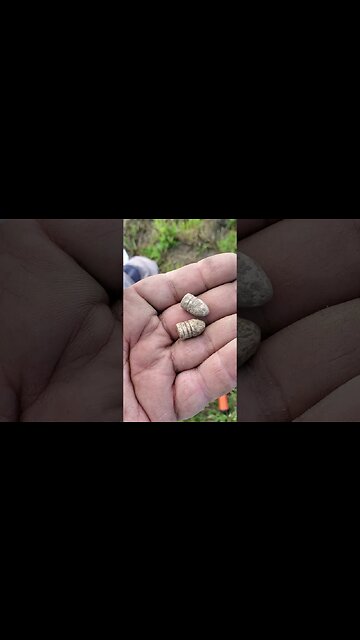 Sweet dropped! #metaldetecting #button #coin #trending #silver #civilwar #battlefield #treasure