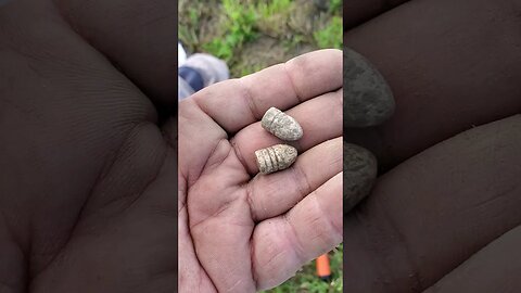 Sweet dropped! #metaldetecting #button #coin #trending #silver #civilwar #battlefield #treasure