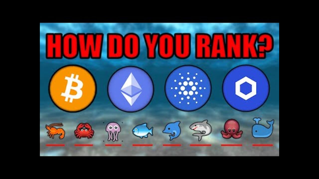 REVEALED: How Much Crypto You REALLY Need To Change Your Life! Chainlink Cardano Ethereum Bitcoin!