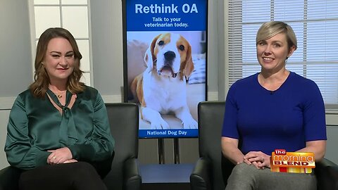 Addressing a Common Disease Affecting Dogs