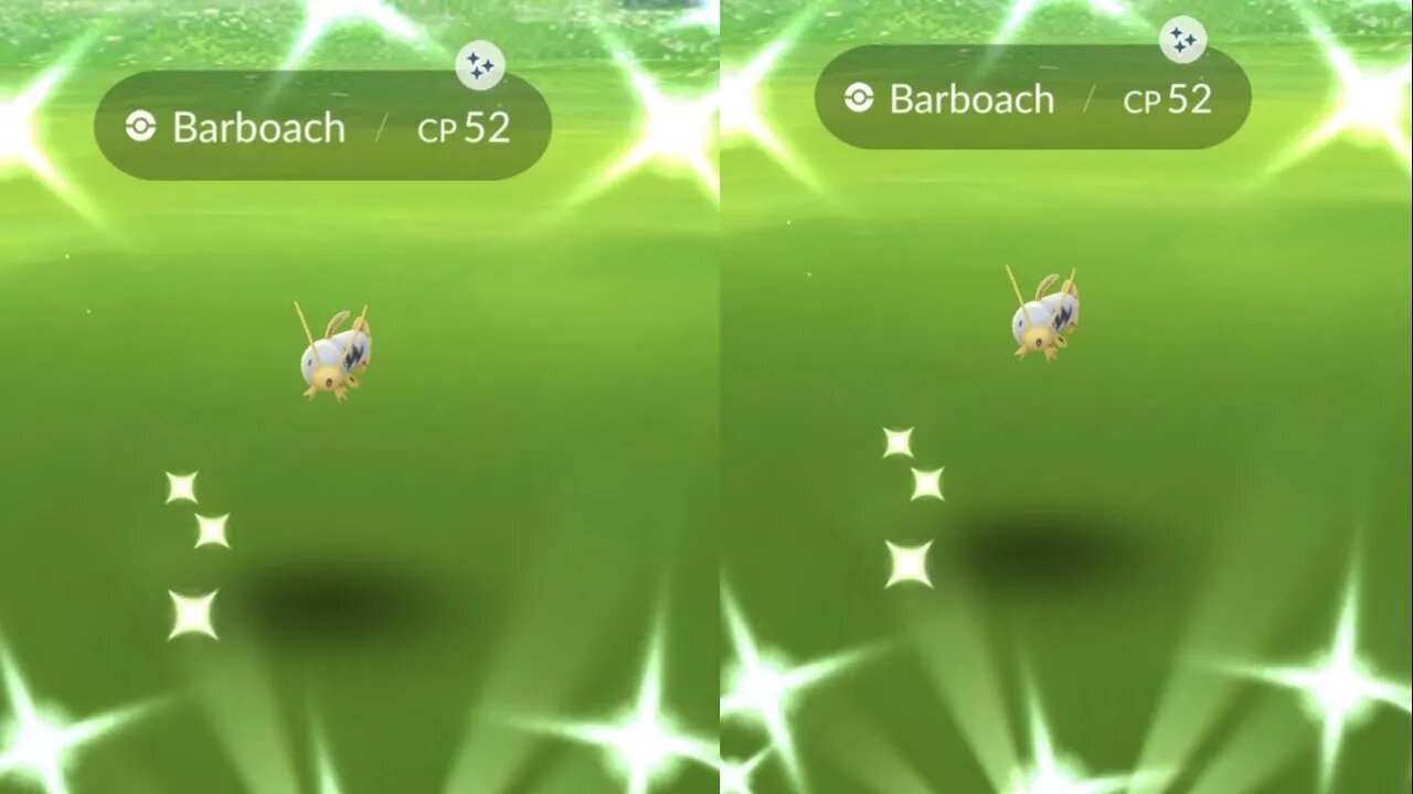 My Reaction to Shiny Barboach