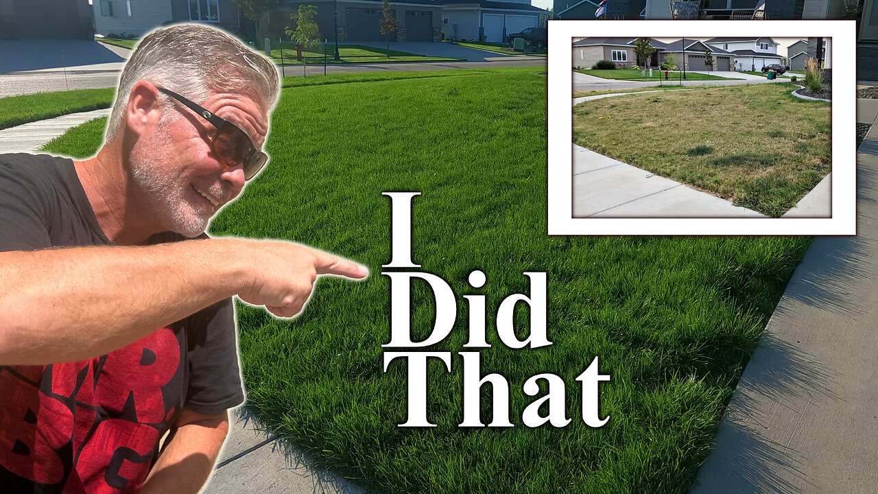 How To Fix Your Ugly Lawn This Fall - RESULTS in 3 WEEKS