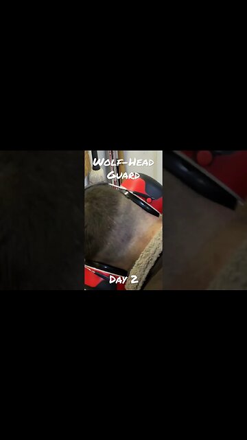 Wolf Head Gaurd: Day 2