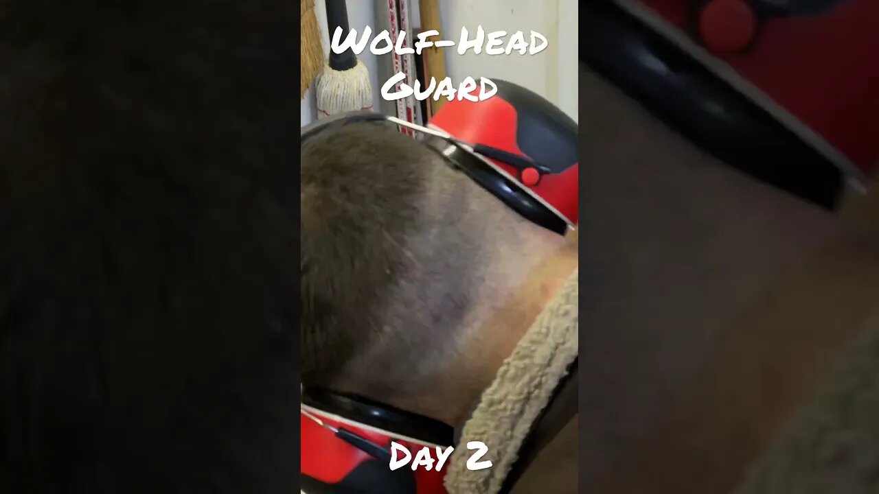 Wolf Head Gaurd: Day 2