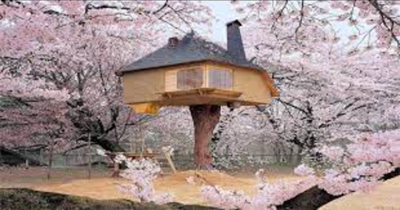 tree house