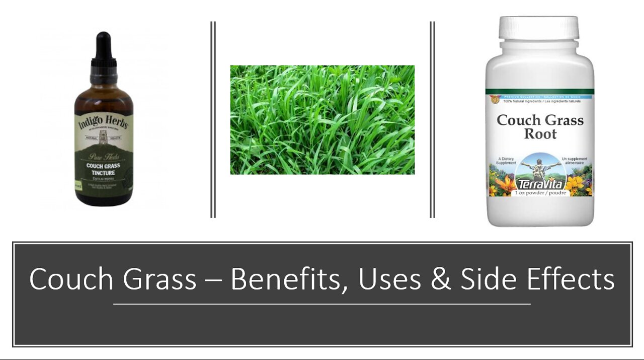 Couch Grass Benefits - Herbal Medicine