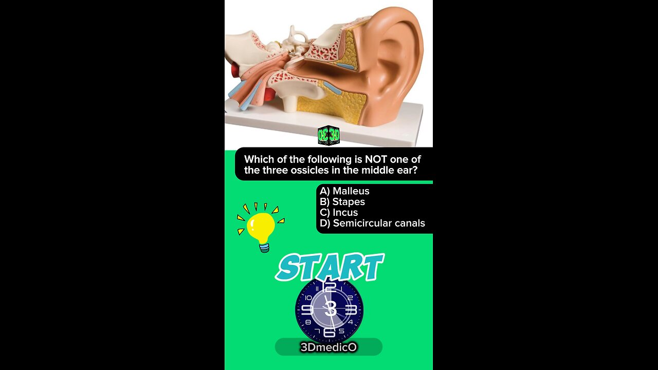 ANSWER Question: Medical MCQs Part EAR 1.#Medical #education @3D Medico