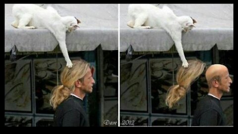 The best and funniest compilation videos in 2021