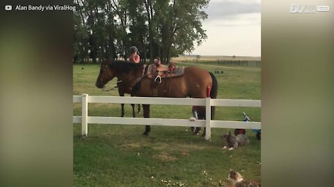 Una bimba e il suo ingegnoso stratagemma per montare un cavallo!