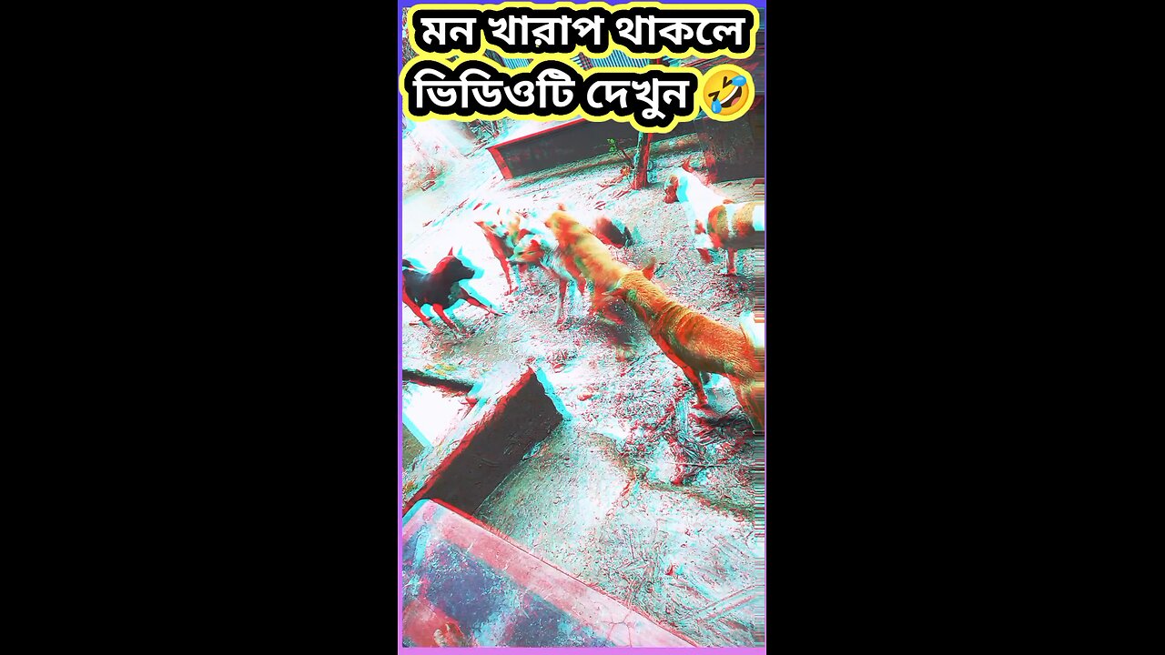 মন খারাপ থাকলে ভিডিওটি দেখুন #funny #শর্ট #comedy #shorts #viral #tiktok #baby #dog #কুকুর #বেবি