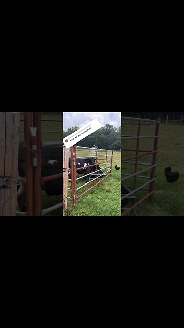 Don’t get them confused #shorts