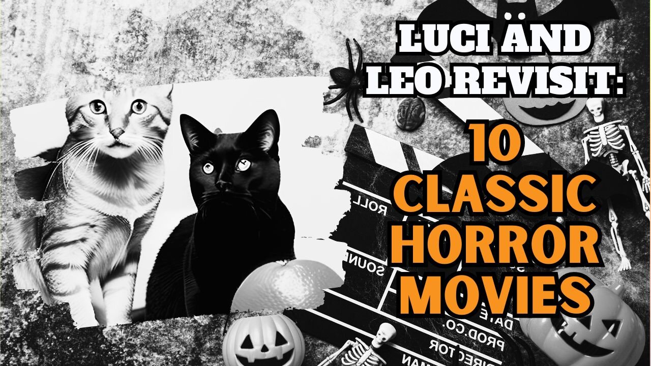 Luci and Leo's B&W Film Adventure Discovering Classic Horror
