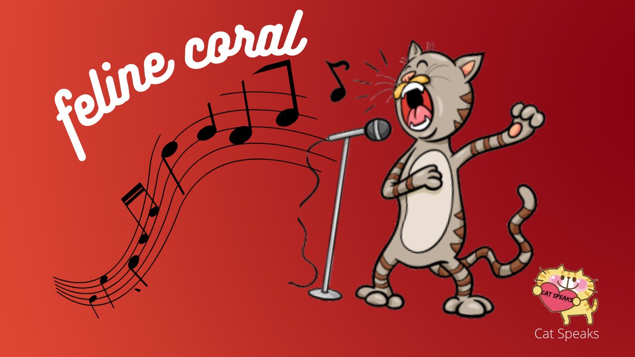 Feline Coral