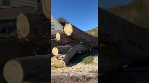 Hurricane Damage in Charlottetown