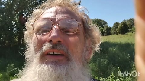 Harvested From the Weeds