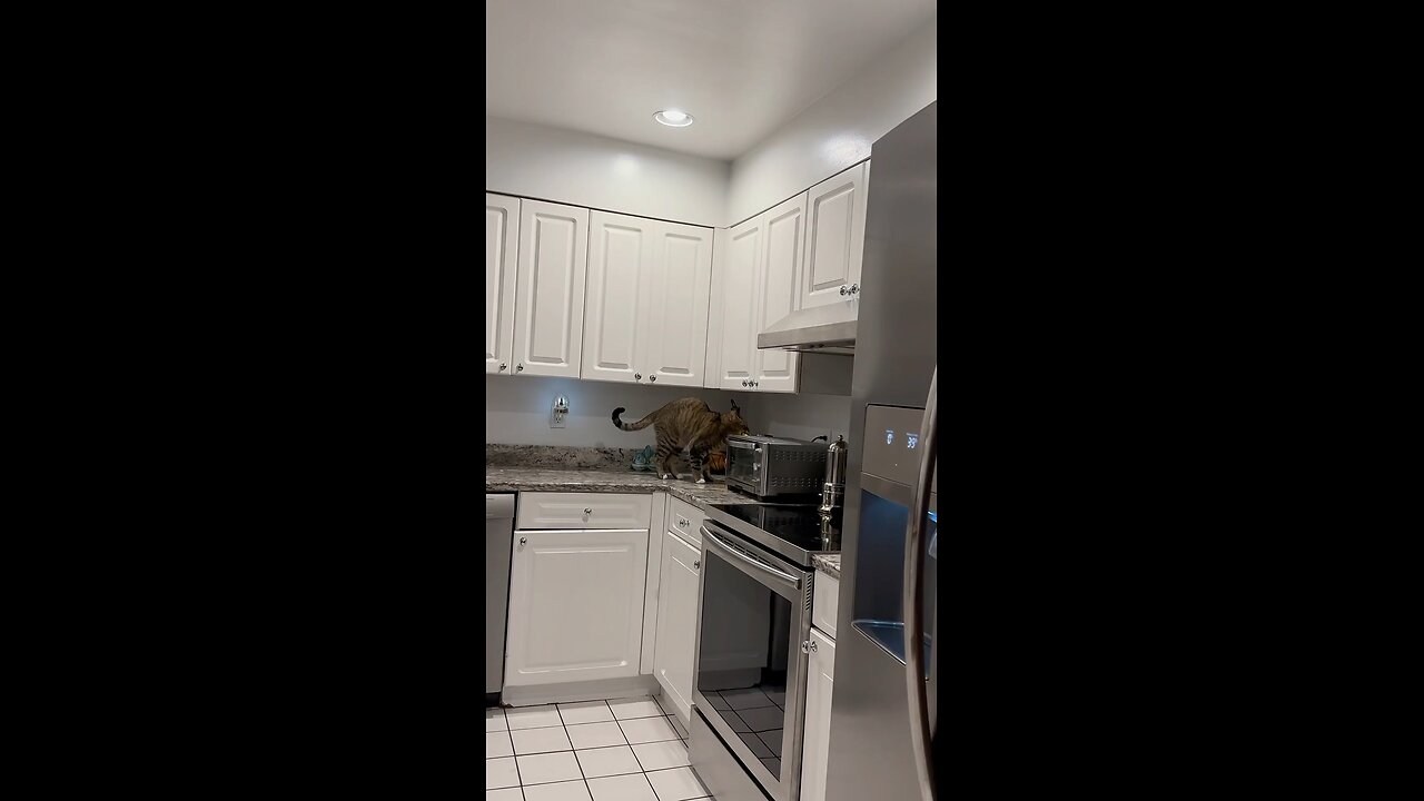 The Moment he realizes he was caught 😎