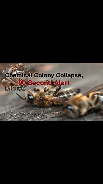 Chemical Colony Collapse -- 90 Second Alert -- "Air pollution is changing the way flowers smell, leaving pollinators lost and the ecosystem in peril." Are we next?
