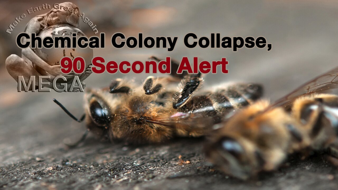 Chemical Colony Collapse -- 90 Second Alert -- "Air pollution is changing the way flowers smell, leaving pollinators lost and the ecosystem in peril." Are we next?