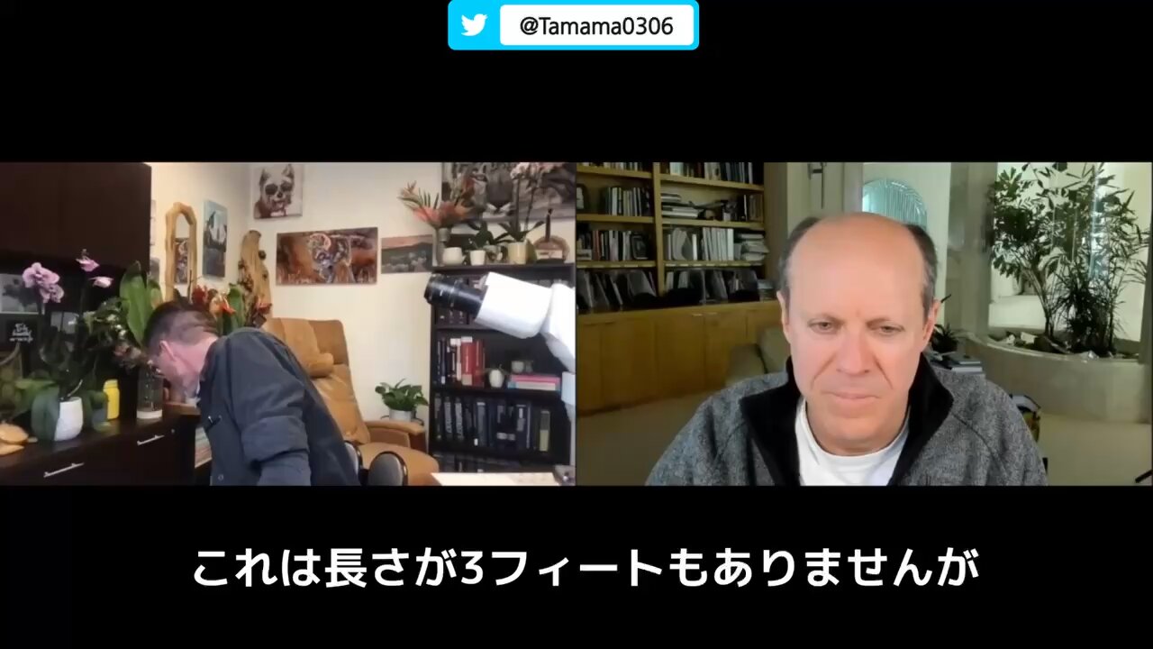 コロワクによって太い静脈にこんな血栓ができるなら、細い静脈はどうなってる？