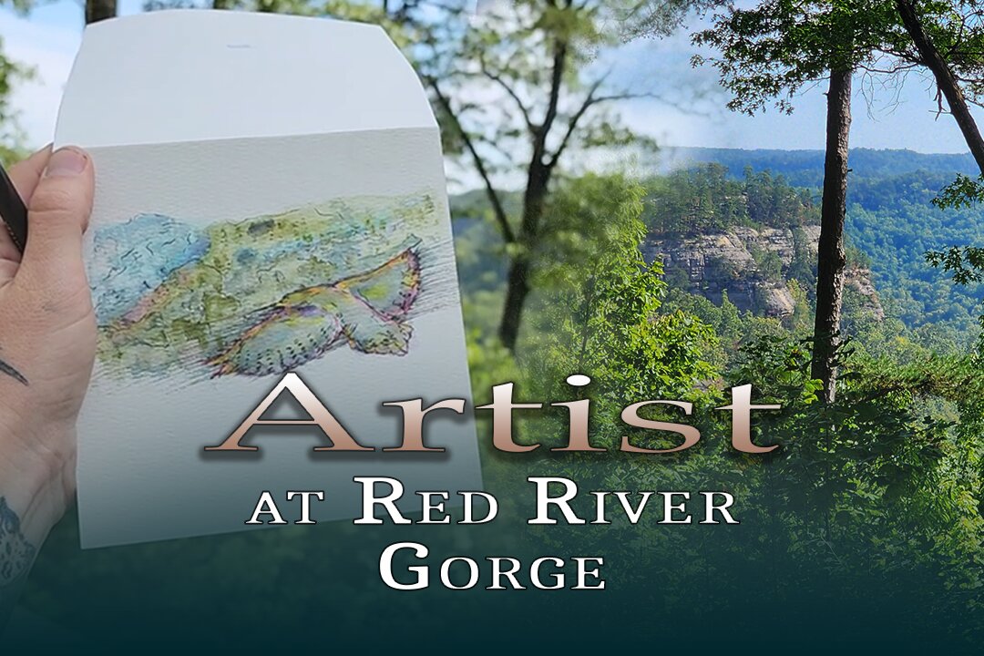 Stay overnight in Red River Gorge with an Artist