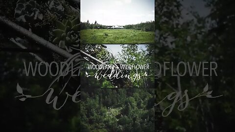 Woodland + Wildflower Wedding Venue. Alberta's GREATEST inclusive weekend venue!