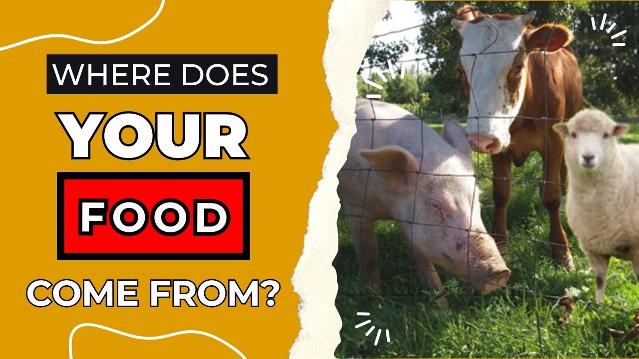 Do You Know Where Your Food Comes From? | Acme Acres: All-American Idaho Beef