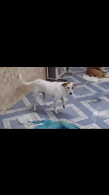 Chuva forte em Manaus no dia 25/04/2020