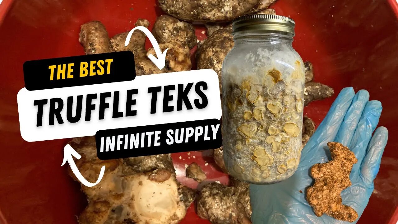 🍄 How To Make Infinite Truffles: The Best Truffle TEKs (Edible Mycology with Sage!) 🍄