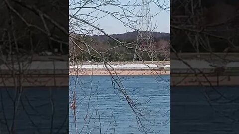 Nice day to fish Guntersville Dam and a barge #fishing #fishingvideos #shorts