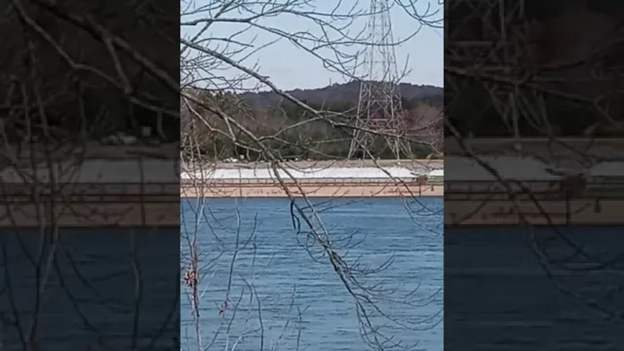 Nice day to fish Guntersville Dam and a barge #fishing #fishingvideos #shorts