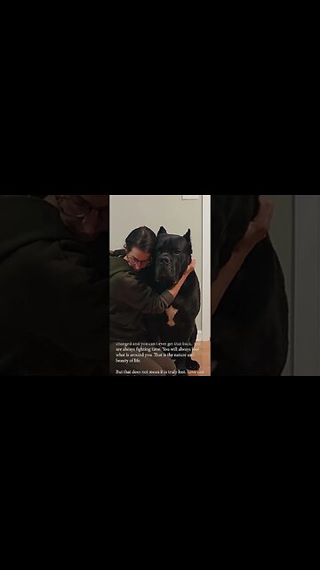 Afraid To Lose My Dog #shorts #dog