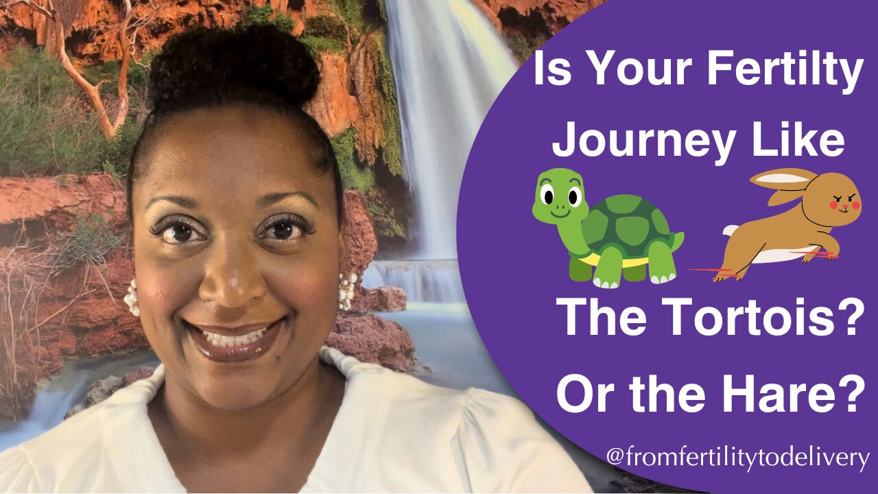 Is Your Fertiltiy Journey like the 🐢 or 🐇 🧐