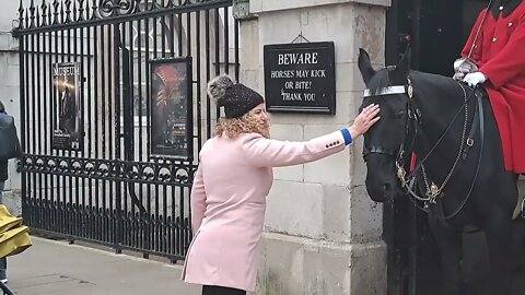 The Horse love's this #horseguardsparade