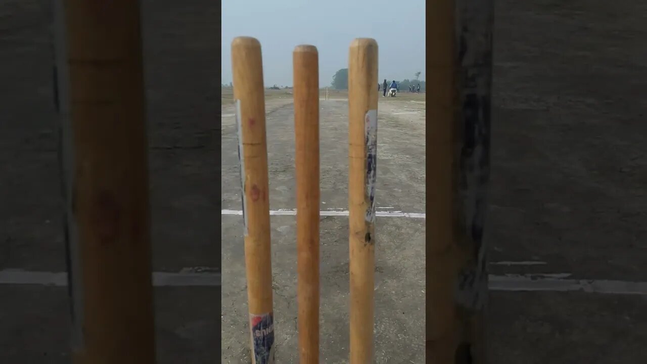 Hard Ball pitch ready for play #shorts #youtubeshorts #reaction