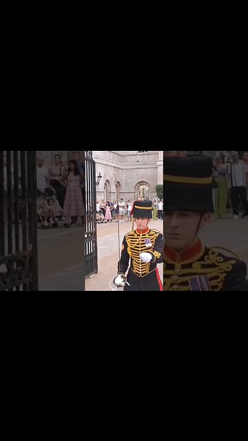 Tourist told to get behind the ballards #horseguardsparade