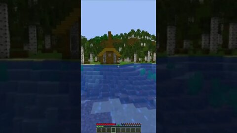 Minecraft #tiktok #Shorts