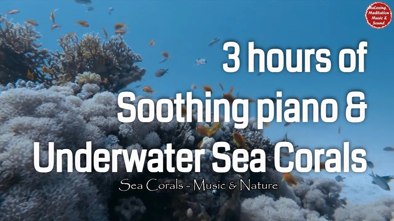 Soothing music with piano and underwater sound for 3 hours, calming music for work & study