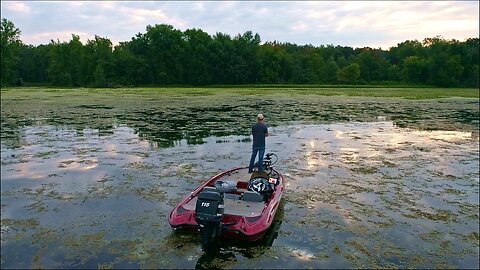 Fishing Frogs in the Slop