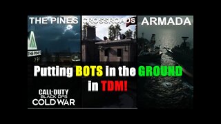 Putting BOTS in the GROUND in TDM! (Call of Duty: Black Ops Cold War)