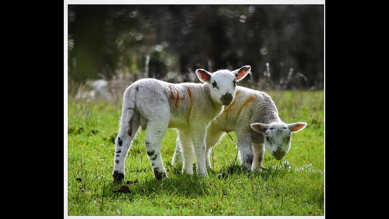 Farming, But Not As You Might Think