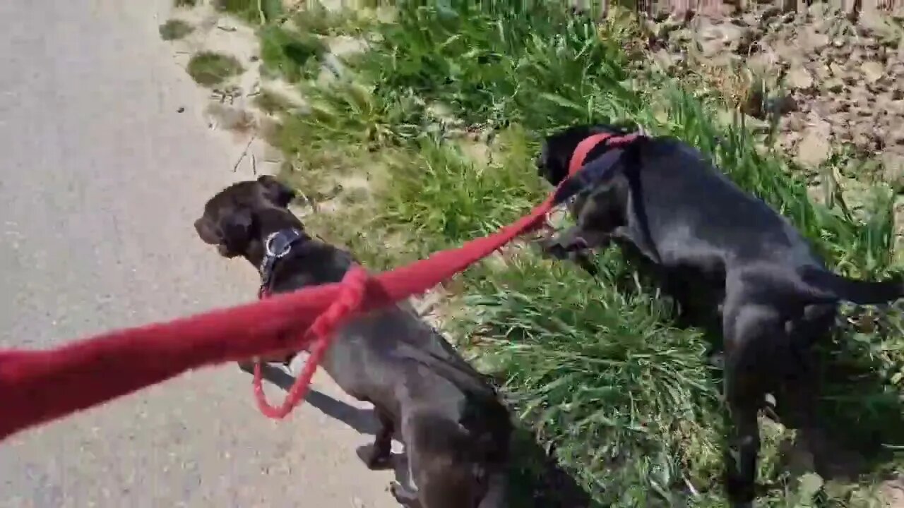 SHORT WISDOM __ CIRCLE of Life: EFFECT of SOFT & HARD times on realness and type of people raised.