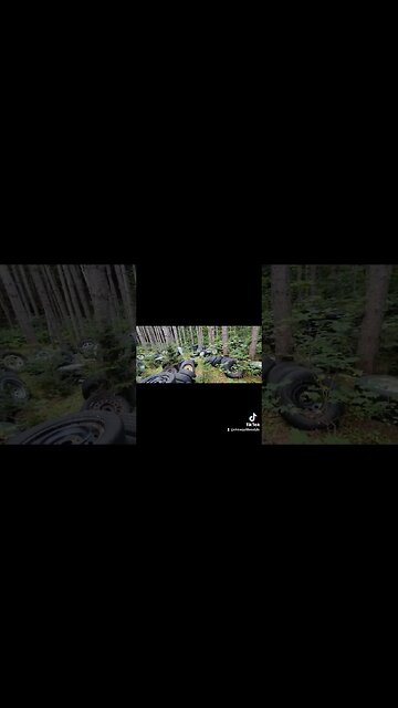 #omg #ytshortscanada