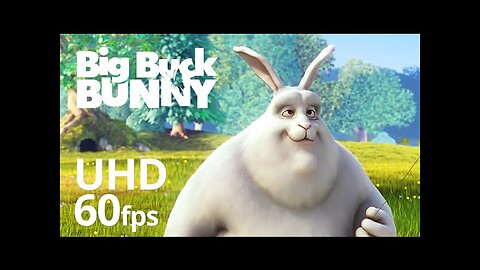 Big Buck Bunny 60fps 4K - Official Blender Foundation Short Film