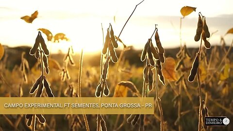 Agricultura Sustentável - Com Frederico Olivi