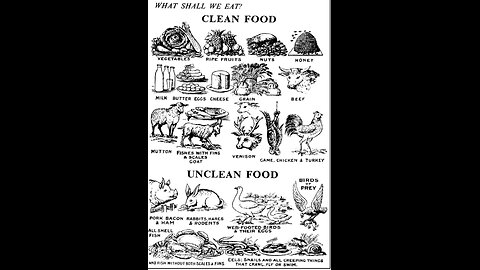 What is the Dietary Laws (Leviticus 11)